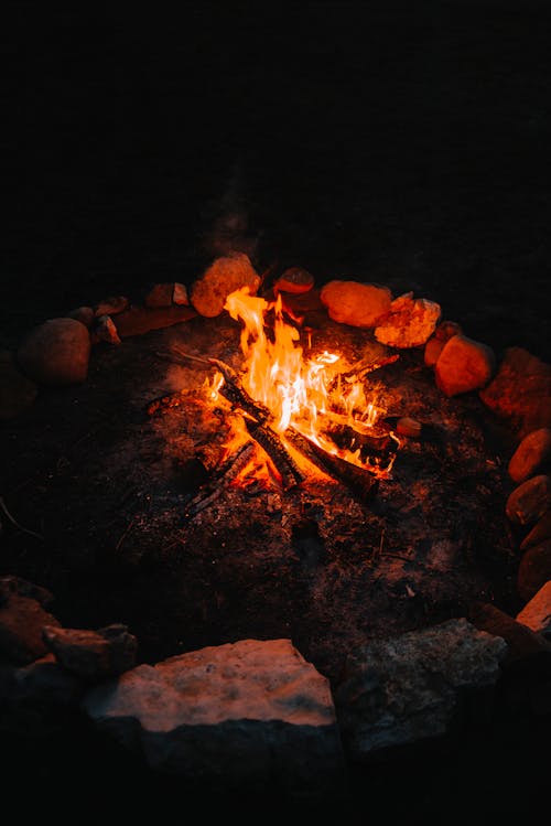 Free Wooden Bonfire Stock Photo