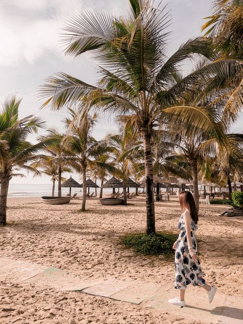 Free Discover the serene beauty of Vietnam's beaches with sandy paths and tropical palm trees. Stock Photo