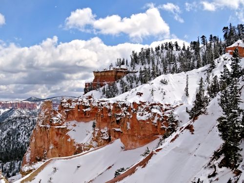 Free Snow-covered cliffs and pine trees in Bryce Canyon National Park under a bright blue sky. Stock Photo