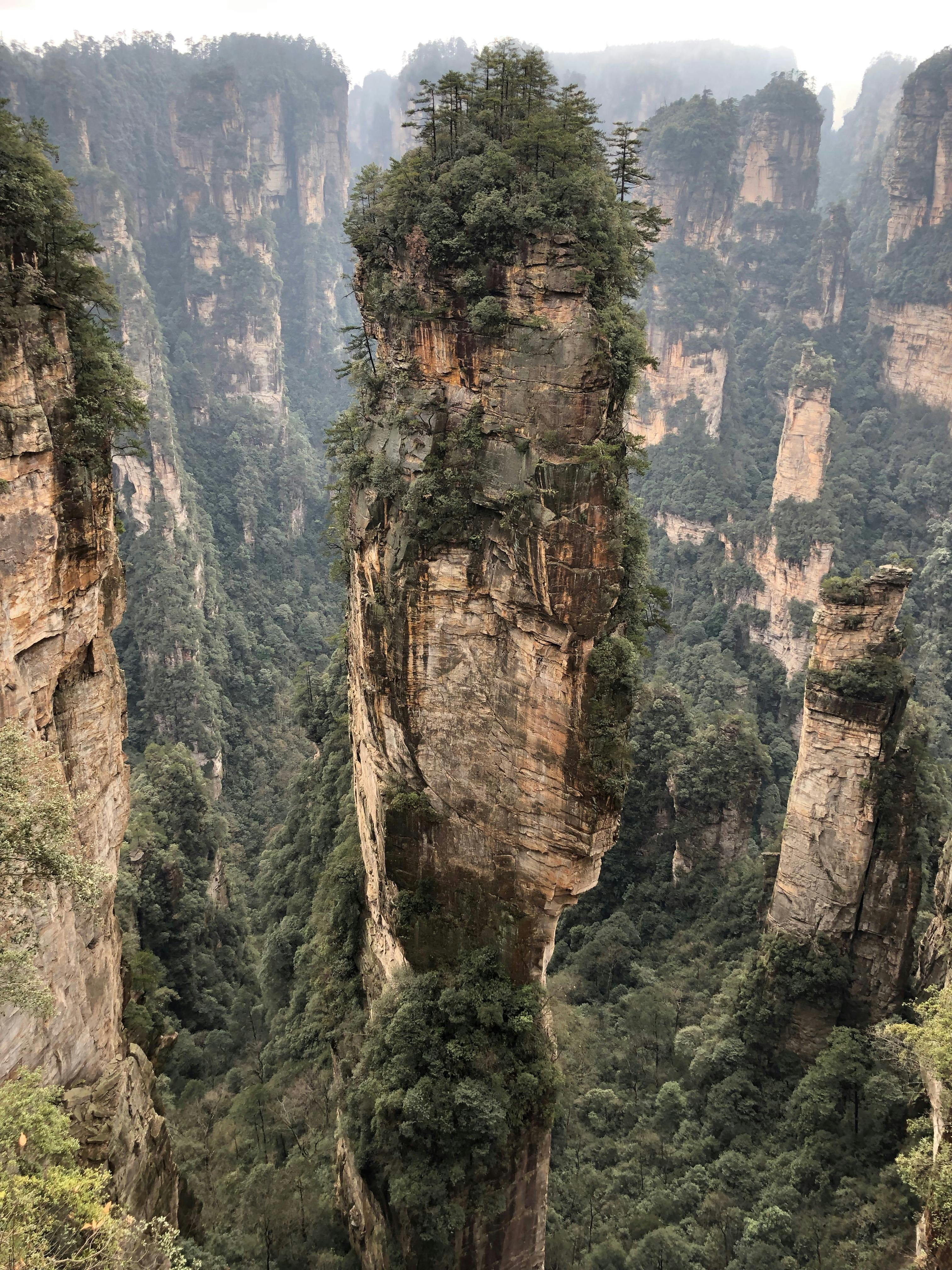 green grass on grey rock formation