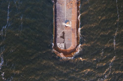 Kostenloses Stock Foto zu aufsicht, drohne erschossen, leuchtturm