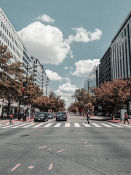 Lively city street with people crossing a zebra lane under a bright sky.