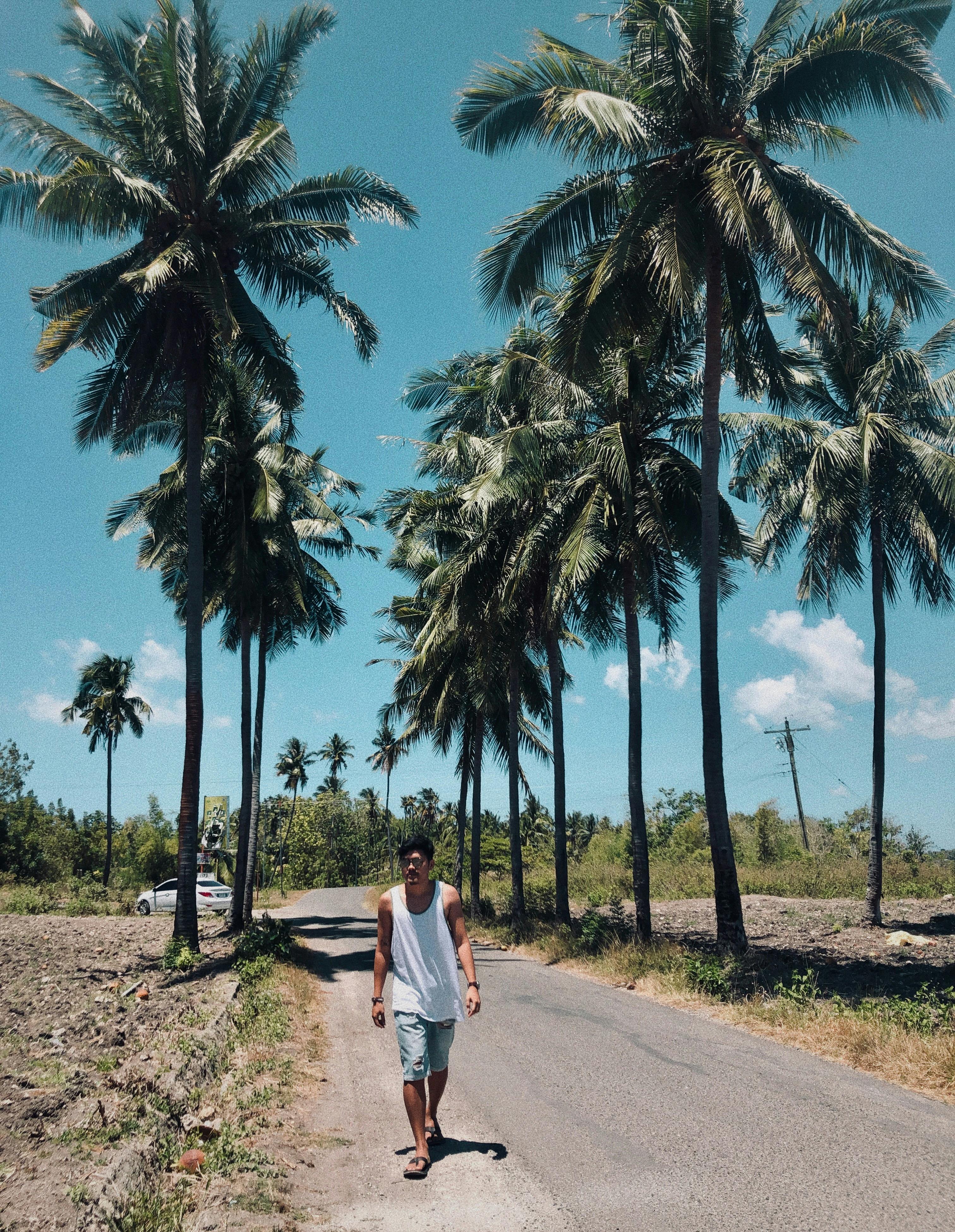 一名男子走在热带道路上，两旁长满高大的棕榈树，头顶是晴朗的蓝天