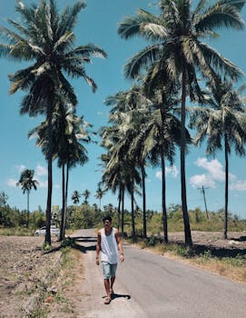 一名男子走在热带道路上，两旁长满高大的棕榈树，头顶是晴朗的蓝天