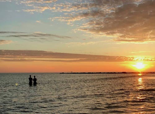 Foto profissional grátis de litoral, Mar do Norte, nascer do sol