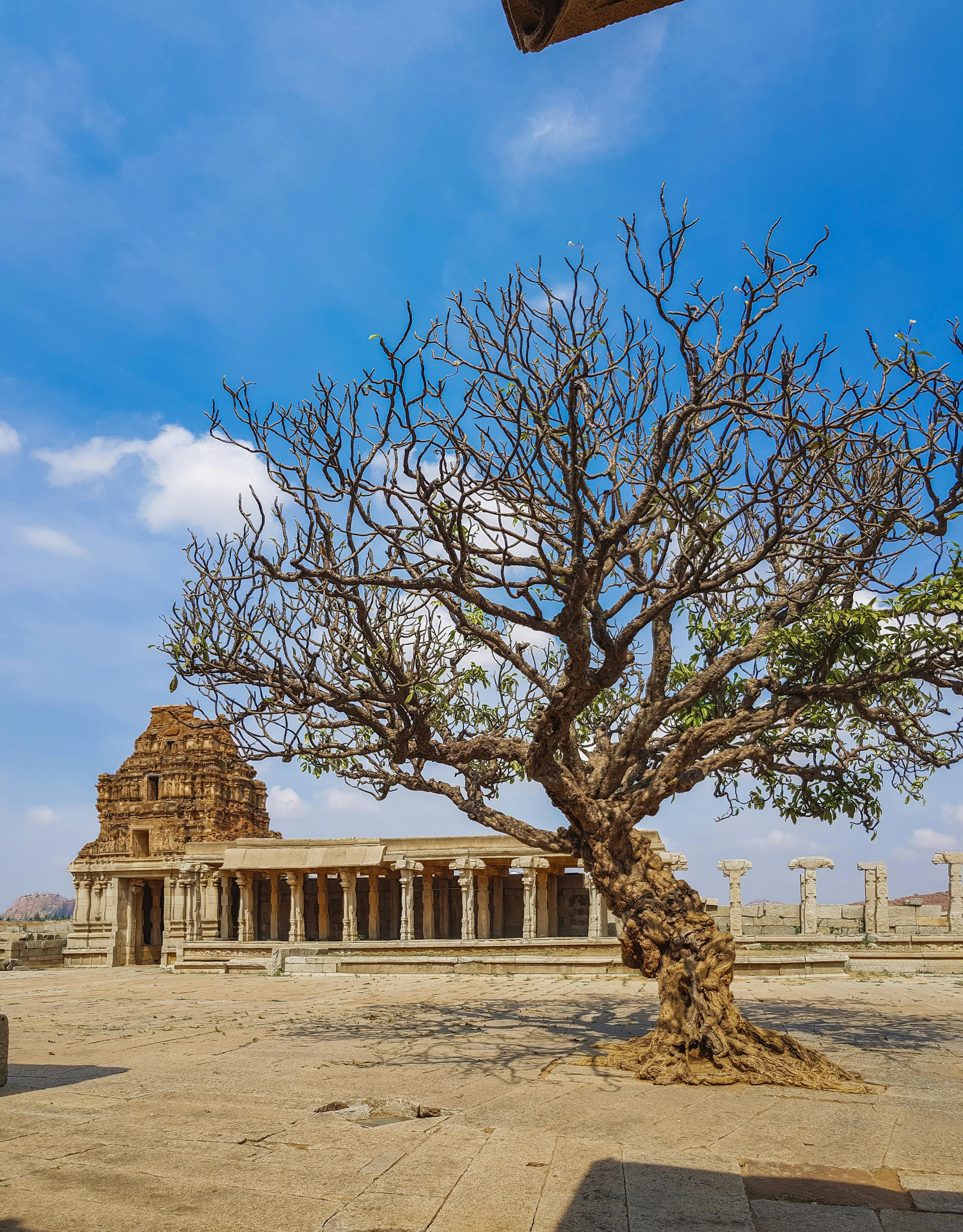 Difference Between Nissan Kicks Sv And Sr Difference