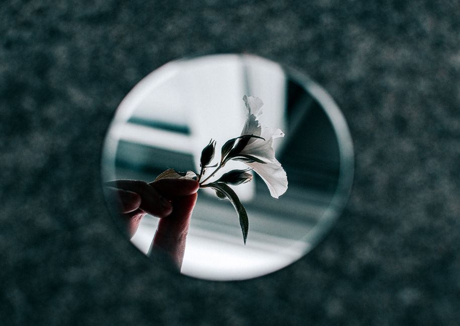A delicate flower's reflection captured in a circular mirror creating an artistic composition.