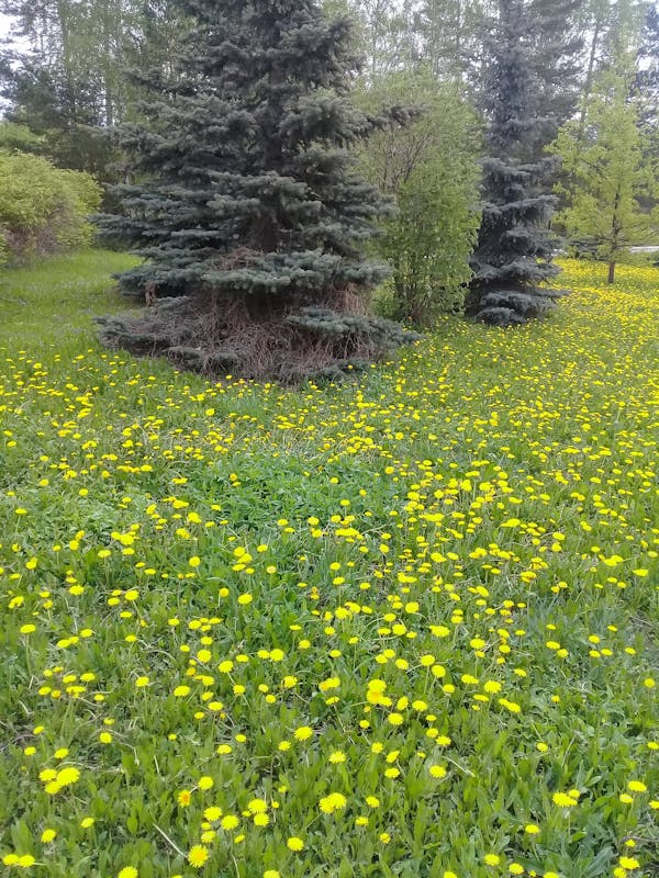 2026年AI旅行規劃革命:為何專業顧問仍不可或缺? 2026年AI旅行規劃革命:為何專業顧問仍不可或缺?