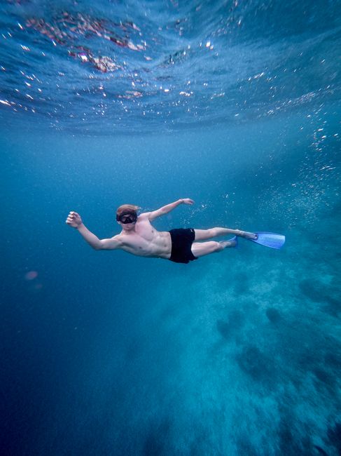 Scuba Diving in Bali From Shipwrecks to Reefs Scuba Diving in Bali From Shipwrecks to Reefs