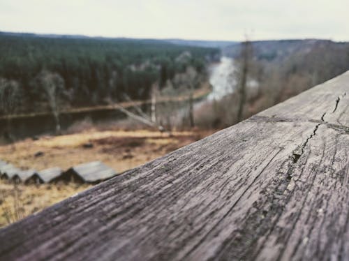 Out of Focus Image of Cottage Rooftops