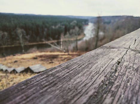 Image by Karolis Samuolis