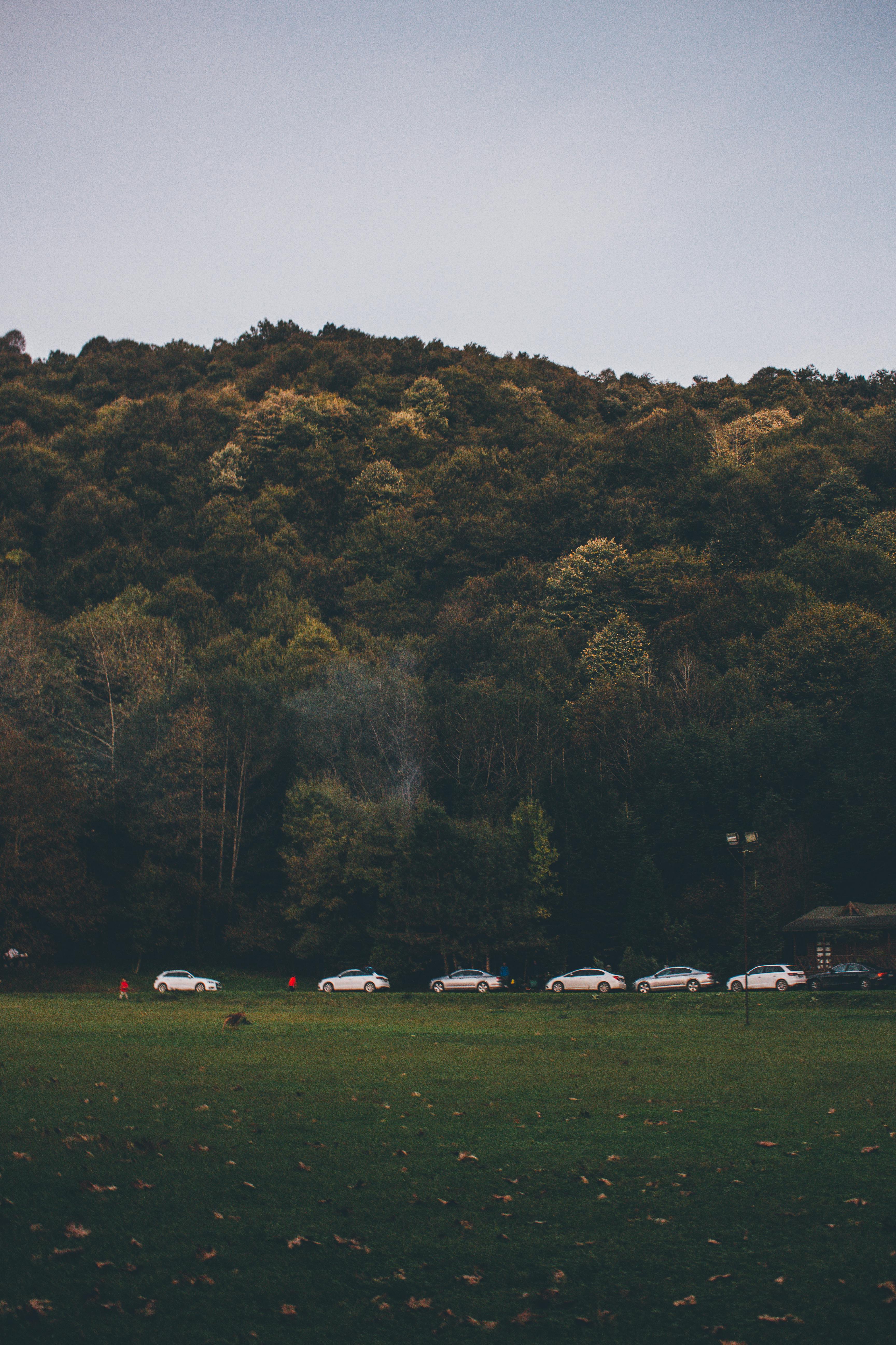 一辆汽车停在秋季的绿色原野和森林山坡旁，构成一幅宁静的场景