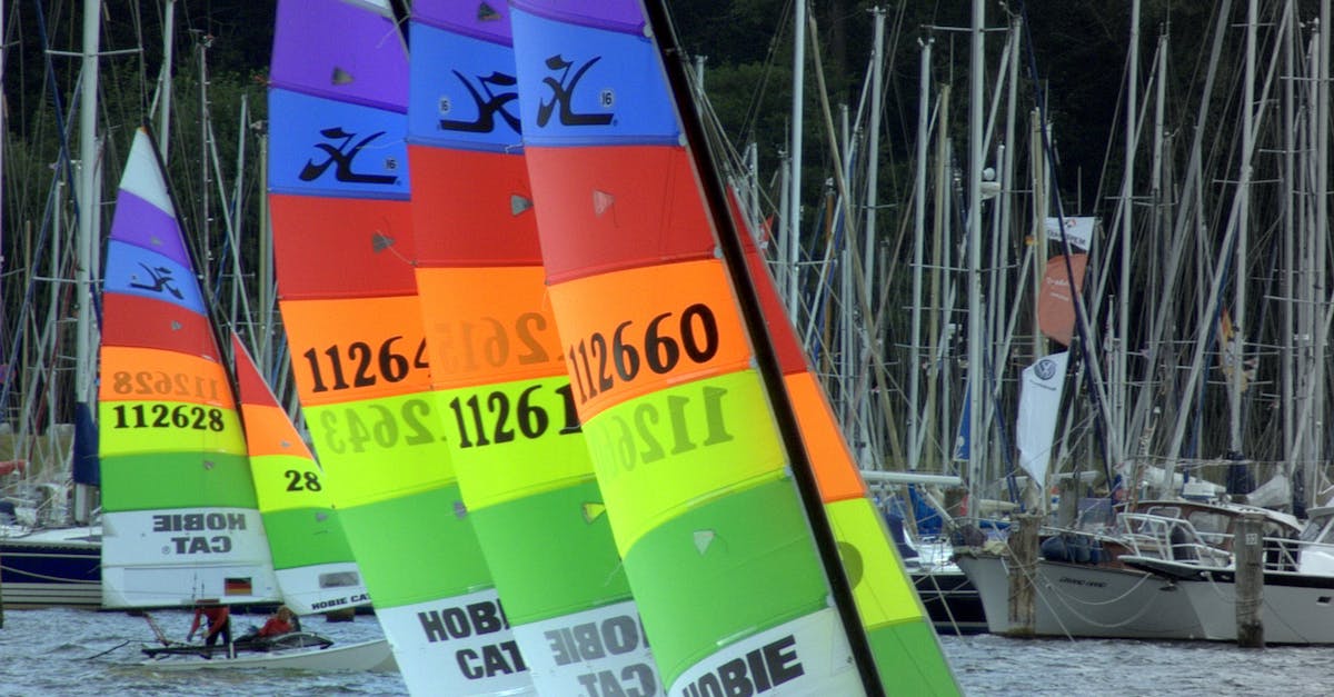 Free stock photo of colorful, regatta, sailing