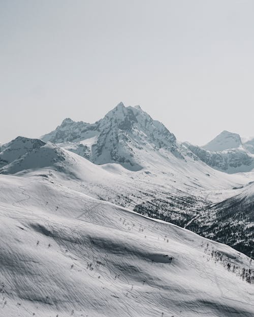 Schneebedeckter Berg