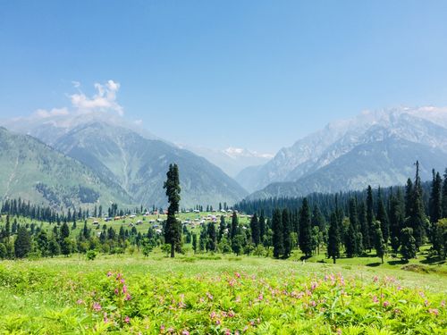 Free Breathtaking view of Arang Kel with lush meadows, pine trees, and mountains under a clear blue sky. Stock Photo