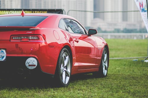 Rode Coupé Geparkeerd Op Groene Grassen