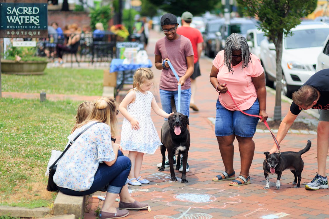 Free A multicultural group interacting with dogs outdoors on a sunny day in a lively park setting. Stock Photo