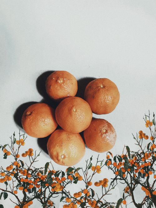 Free Vibrant still life of fresh oranges surrounded by botanical elements on a white surface. Stock Photo