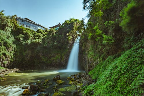 Waterfalls Beside Trees
