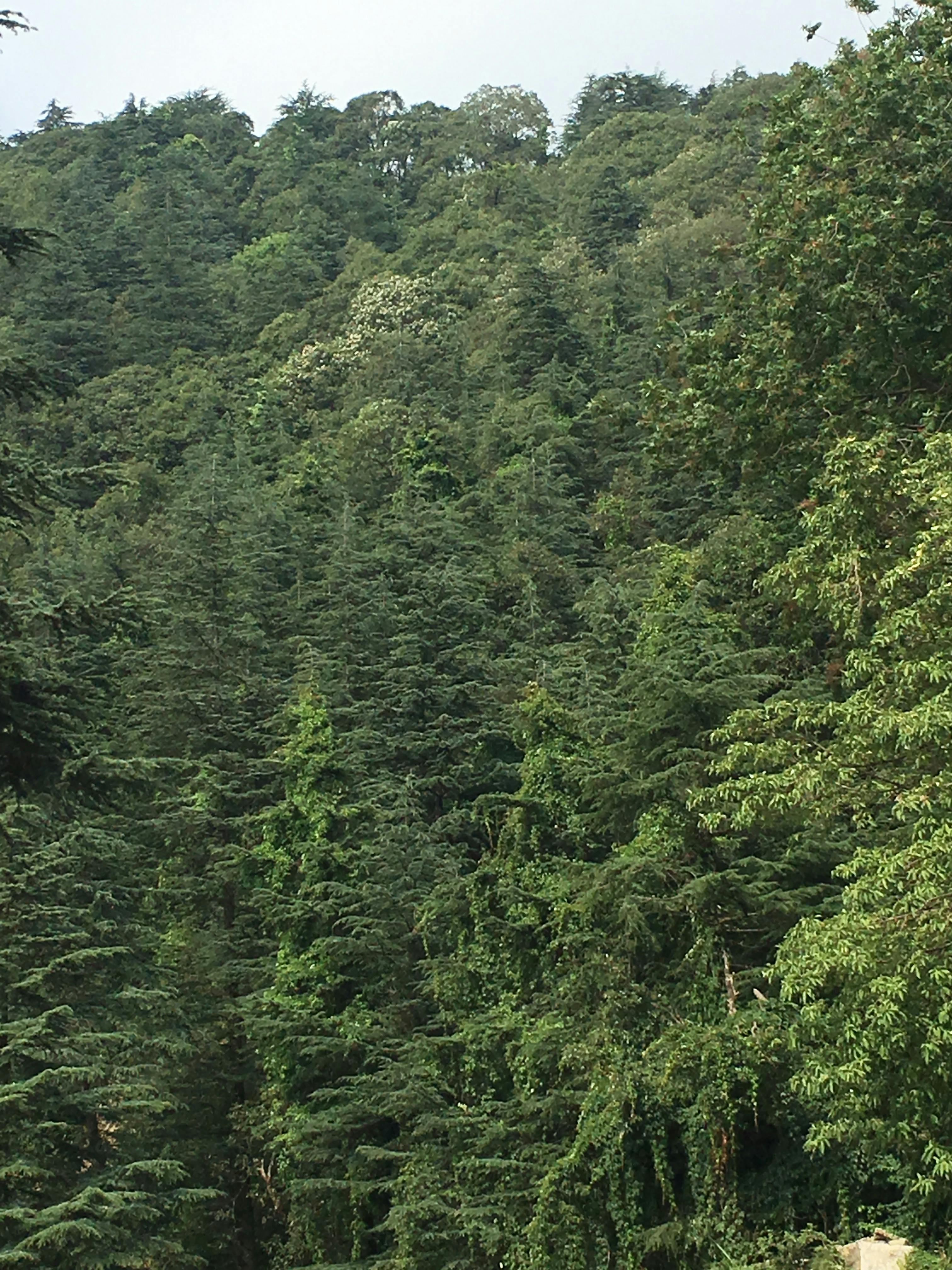 SpaceX vs Blue Origin：誰將主宰加州火箭發射基地，2026年太空產業格局大洗牌？