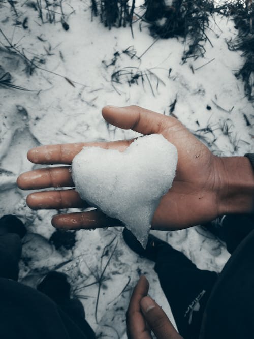 Person Holding Ice