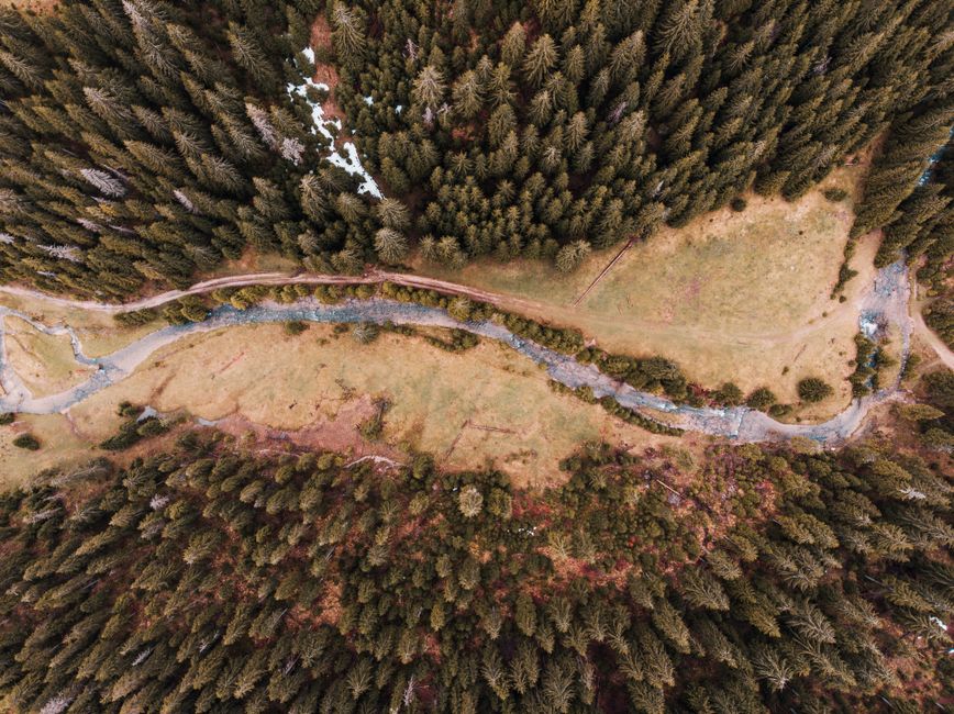 A breathtaking aerial view of a forest bordered by a meandering river, showcasing nature's serene landscape.