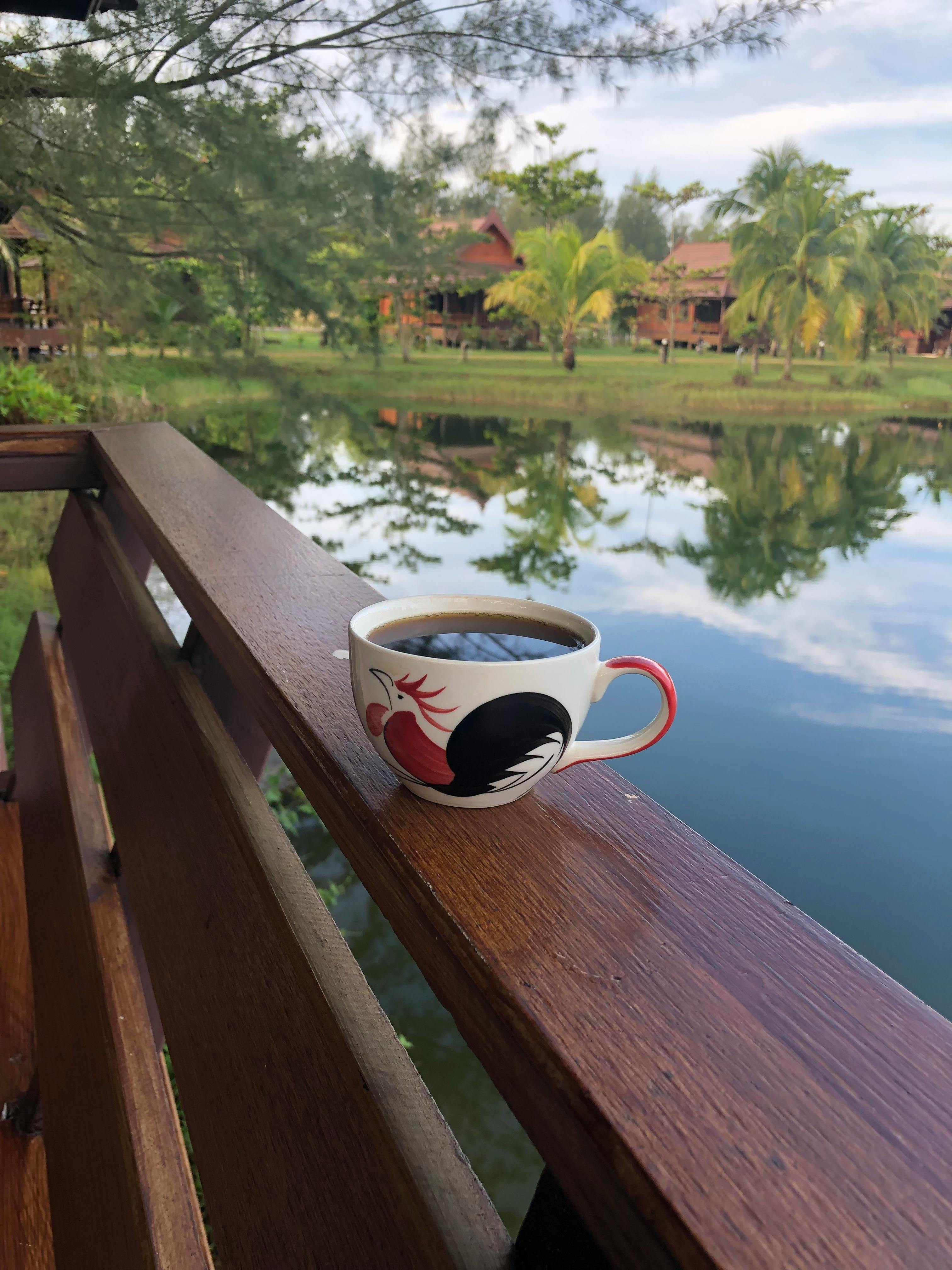 Free stock photo of black coffee, brewed coffee, lake