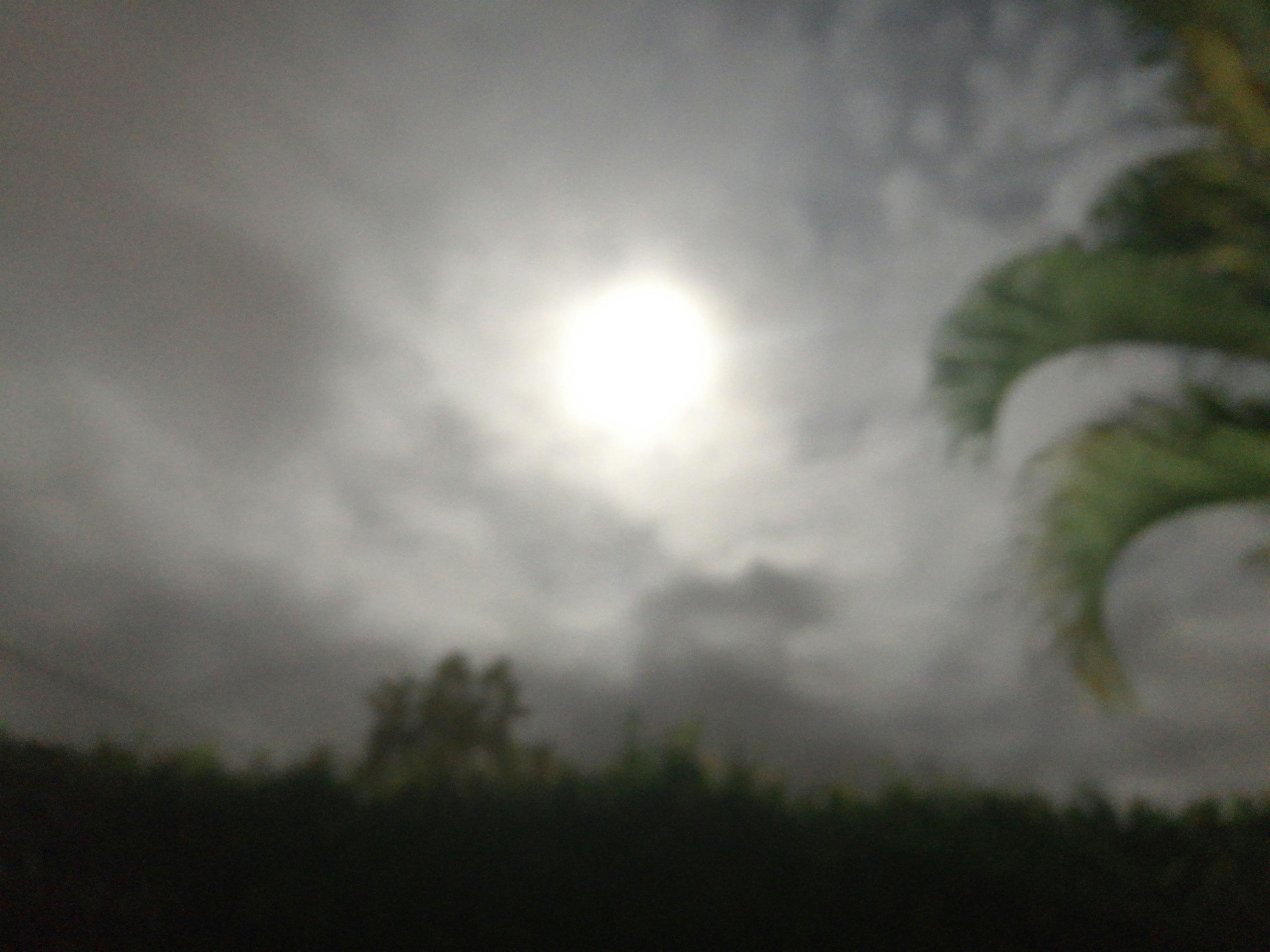 Financial documents audit transparency