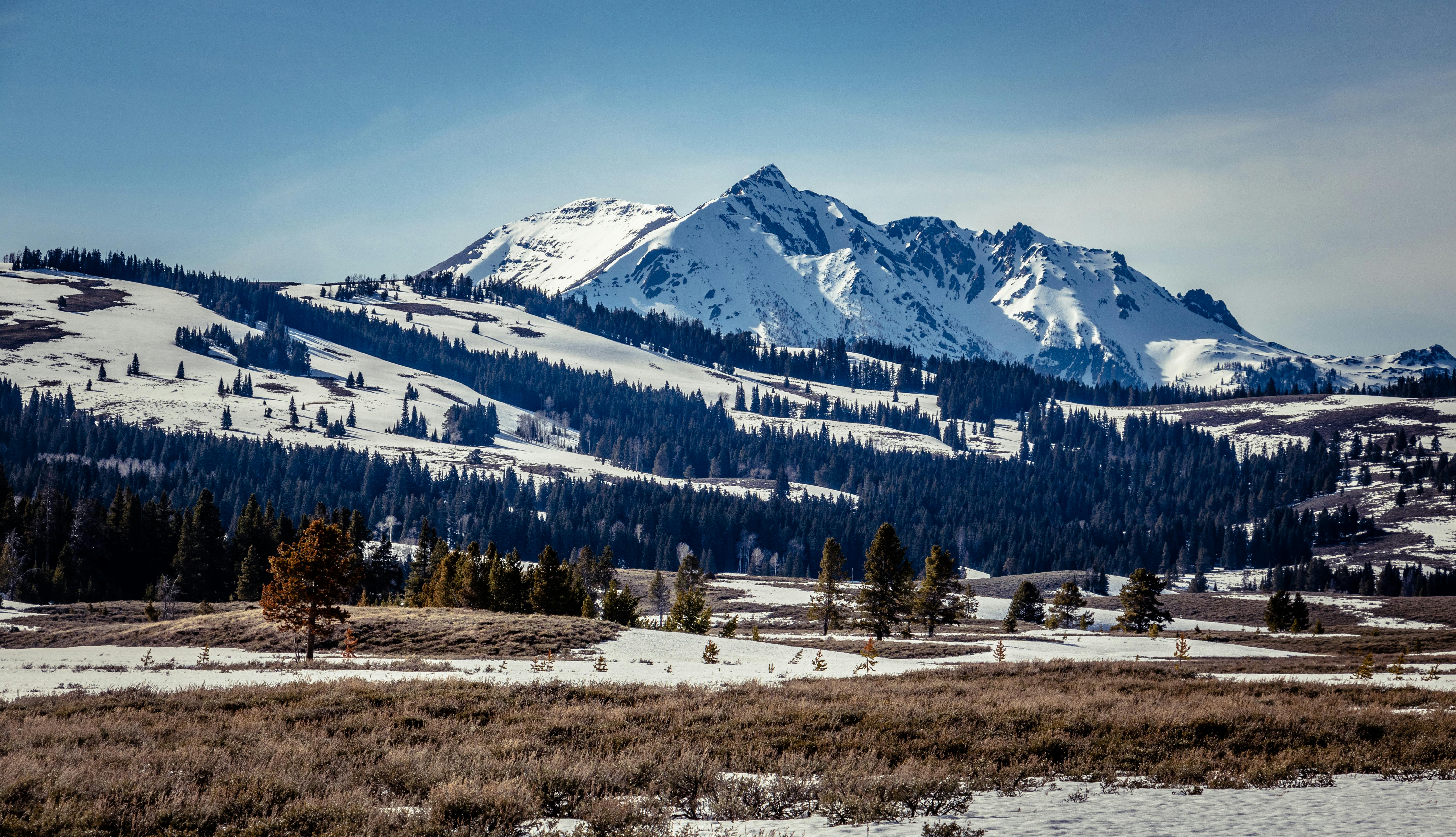 黄石国家公园内，白雪覆盖的山脉景色优美