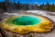 黄石国家公园内，一处色彩缤纷、热气腾腾的温泉，被令人惊叹的自然风光环绕