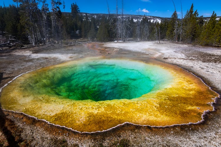 Yellowstone Hot Spring