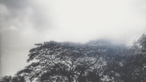 Free stock photo of cloud, cloudy, dark