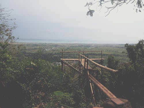 Free stock photo of bridge, forest, gorge