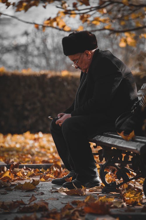 Free Photo of Man Sitting on Wooden Bench While Using Cellphone Stock Photo