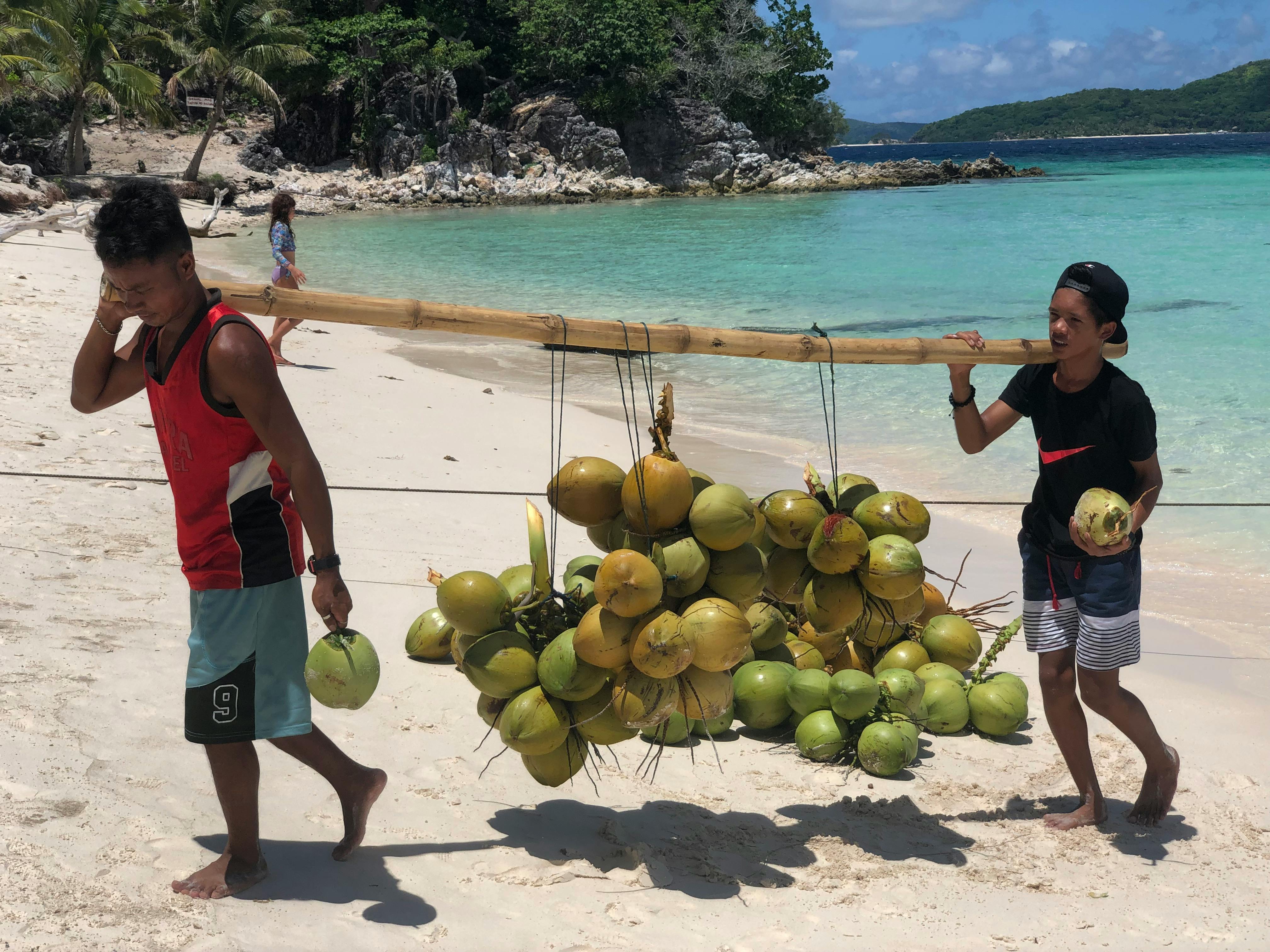 Men Carrying Coconuts · Free Stock Photo