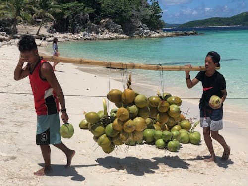 Hombres Llevando Cocos