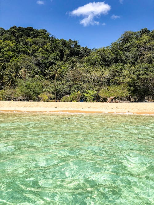 Photo De La Plage Pendant La Journée