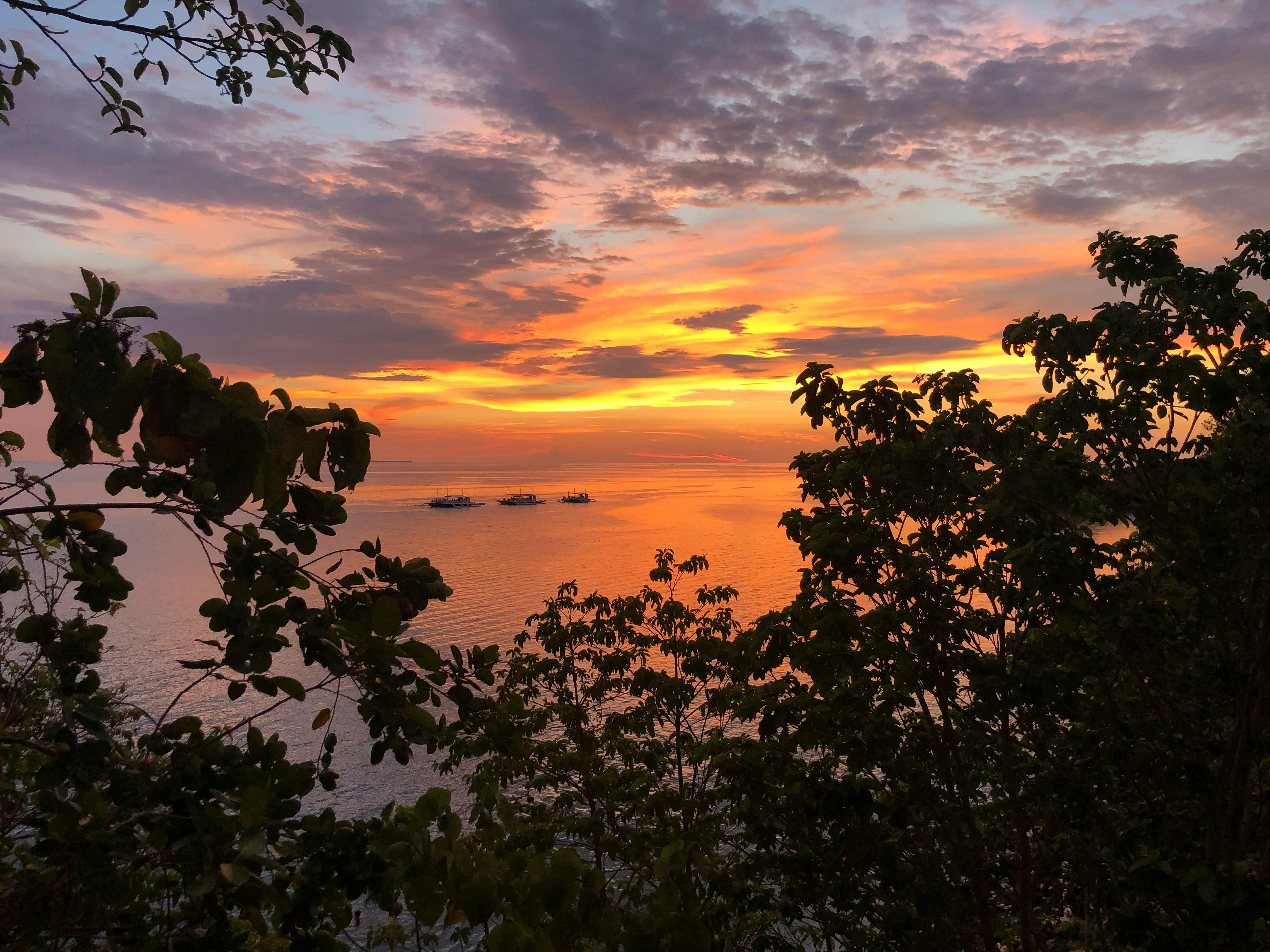 平静的海水上，美丽的树木轮廓映衬着充满活力的热带日落