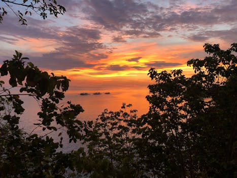 平静的海水上，美丽的树木轮廓映衬着充满活力的热带日落