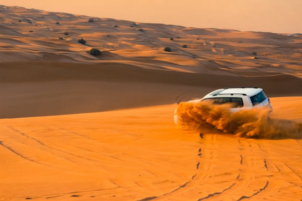 Dubai City Tour + Desert Safari