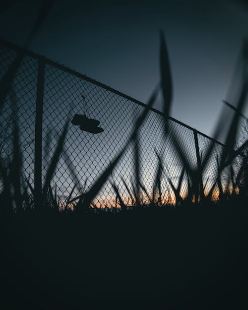 Photo of Chain-link Fence During Dawn