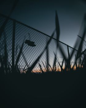 黄昏的天空映衬下，挂着鞋子的链条栅栏轮廓显得格外戏剧性