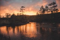 挪威罗加兰一条宁静的河流上，迷人的日落映出树木的倒影
