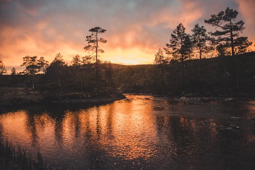 挪威罗加兰一条宁静的河流上，迷人的日落映出树木的倒影