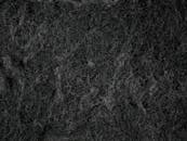 Close-up of Scraper of Dish Sponge