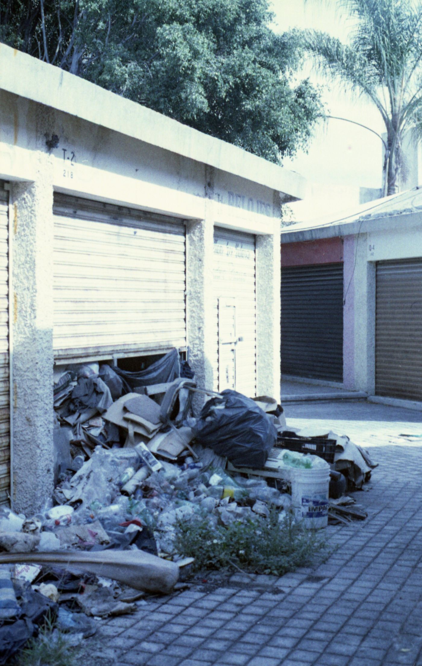 Garage Cleanout Dumpster Rental