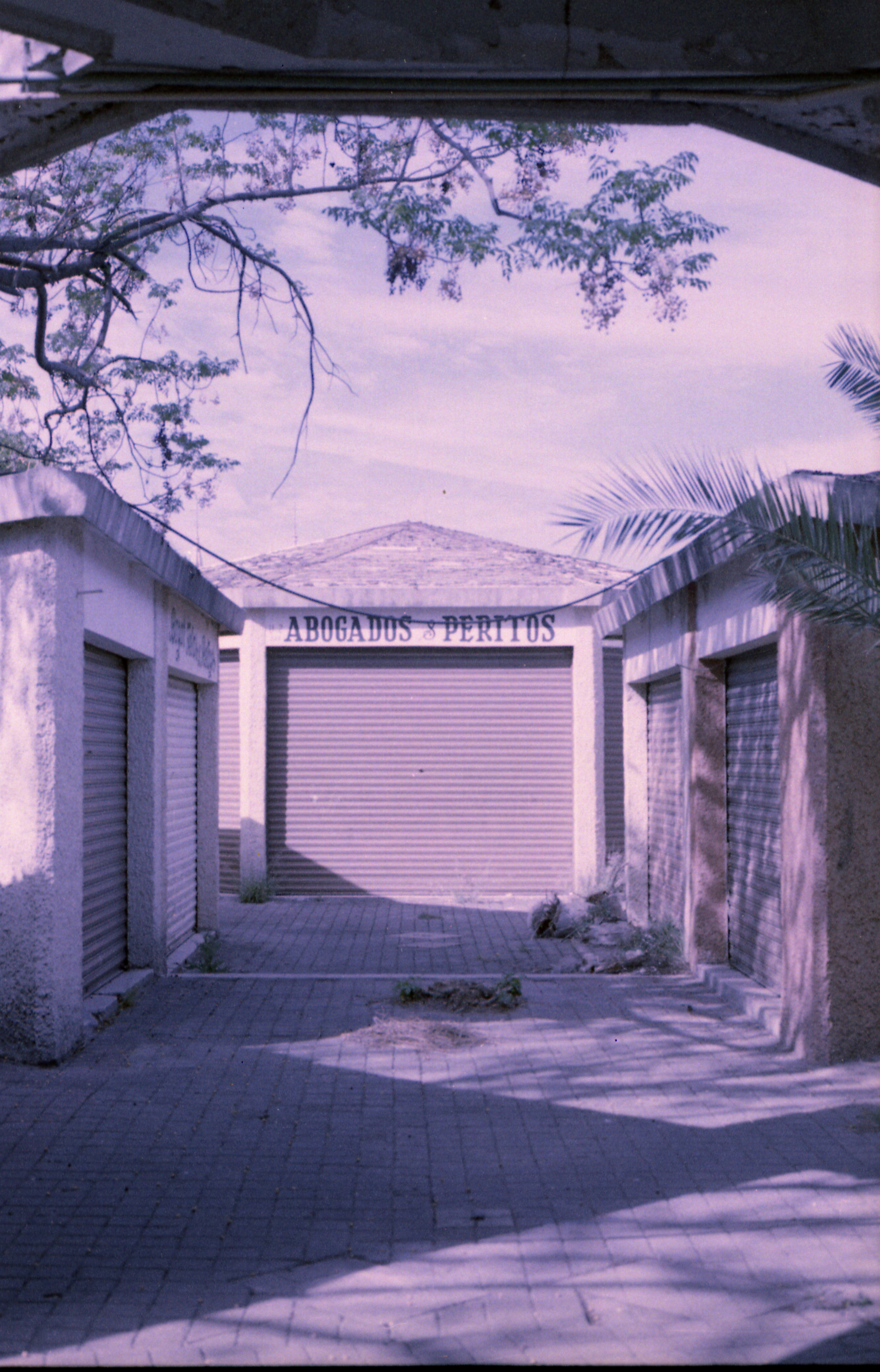 Waragdeprfeb79