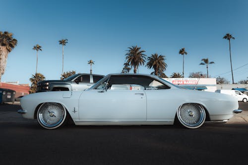 A white car parked in front of a palm tree