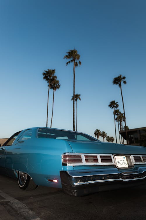 A blue car parked in front of palm trees