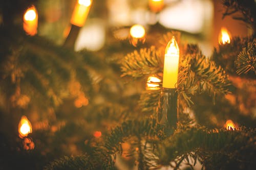 Selective Focus Photography of String Lights